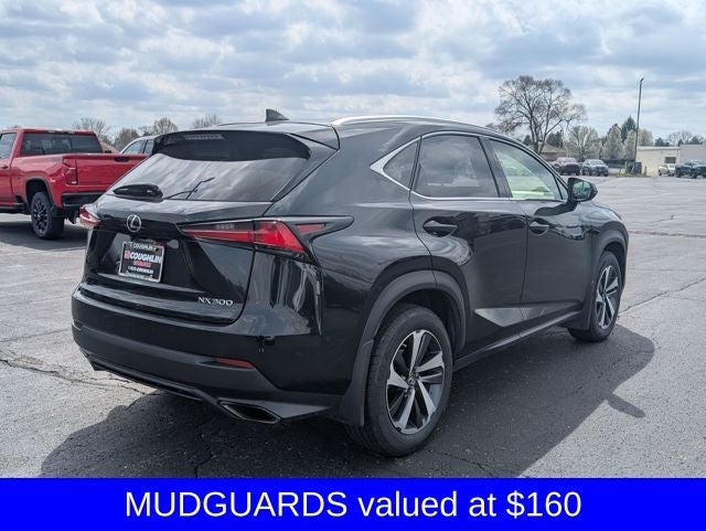 2020 Lexus NX 300 NX 300